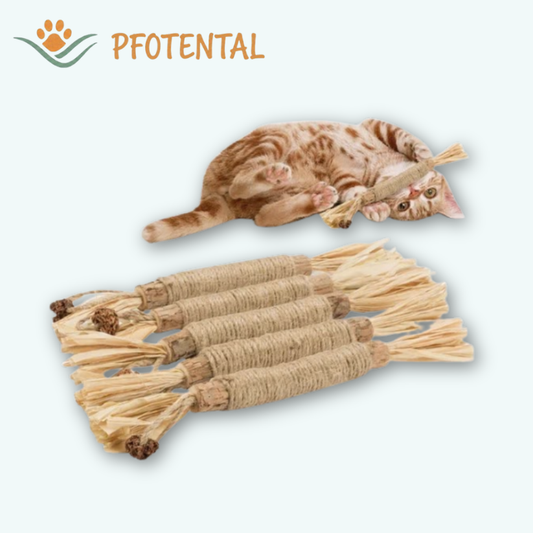 Pfotental™ Matatabi Sticks